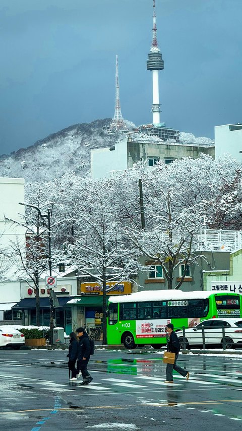 Tak Hanya Indonesia, Deretan Negara Ini Keluarkan Travel Warning ke Korea Meski Status Darurat Militer Telah Dicabut