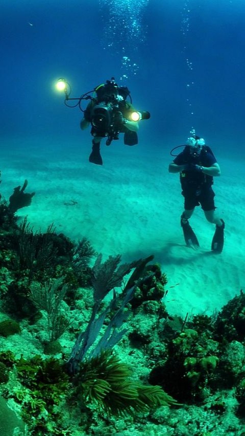 Pria Ini Coba Pecahkan Rekor Tinggal di Bawah Laut Selama Lebih dari 120 Hari, Begini Caranya