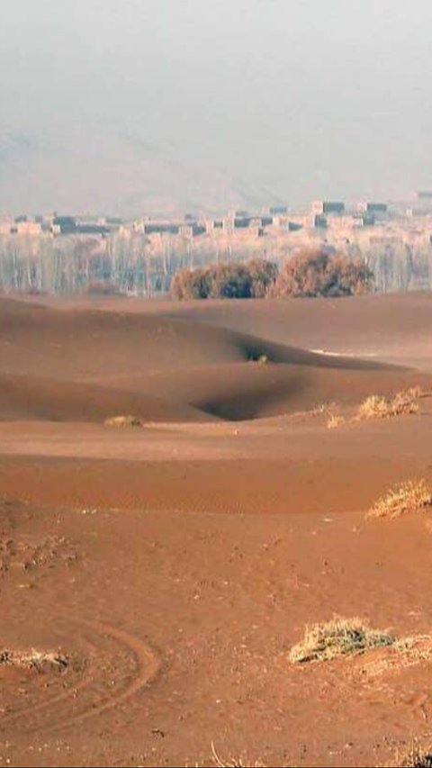 46 Tahun Tanam Pohon di Gurun, China Berhasil Bikin Tembok Hutan Buatan Sepanjang 3.000 Kilometer