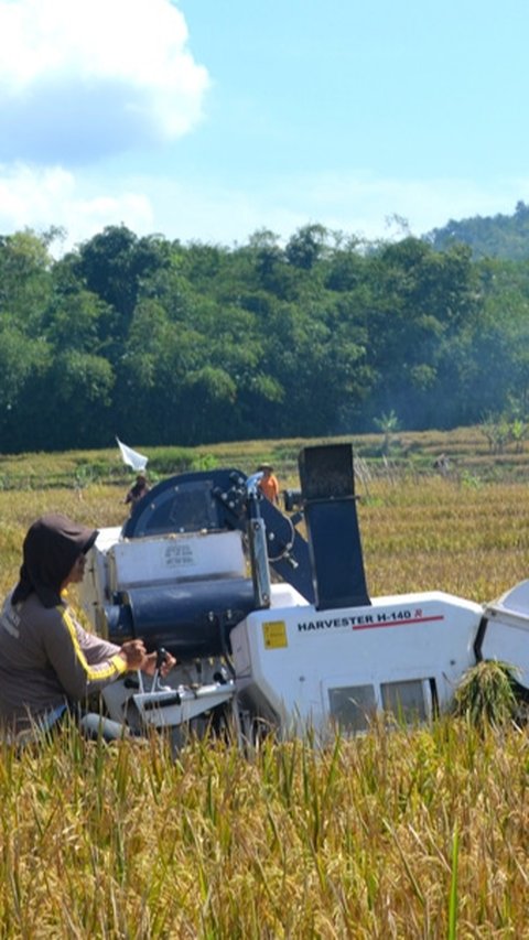 Upaya Bapanas Jaga Stabilitas Harga dan Cadangan Pangan di Tengah Cuaca Ekstrem