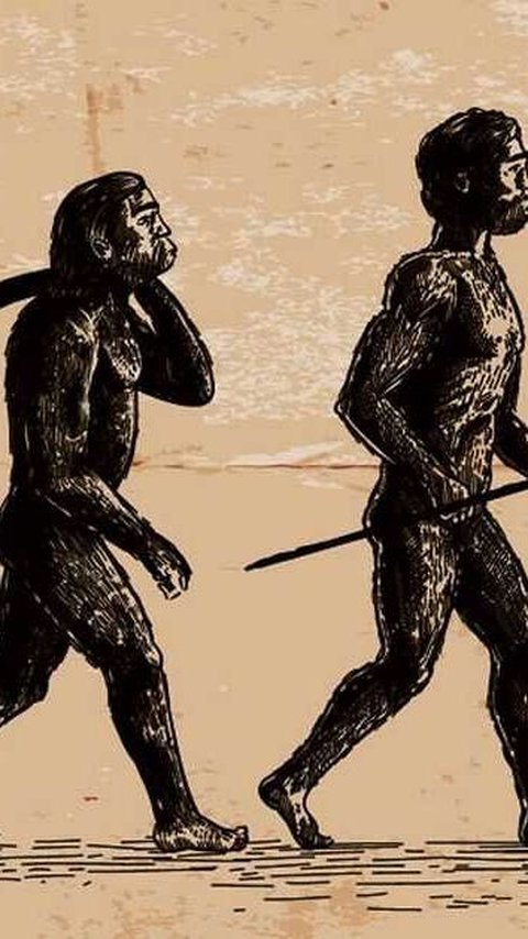 Fosil Telinga Kera Berusia 6 Juta Tahun Ungkap Bagaimana Manusia Bisa Berjalan Tegak Dua Kaki