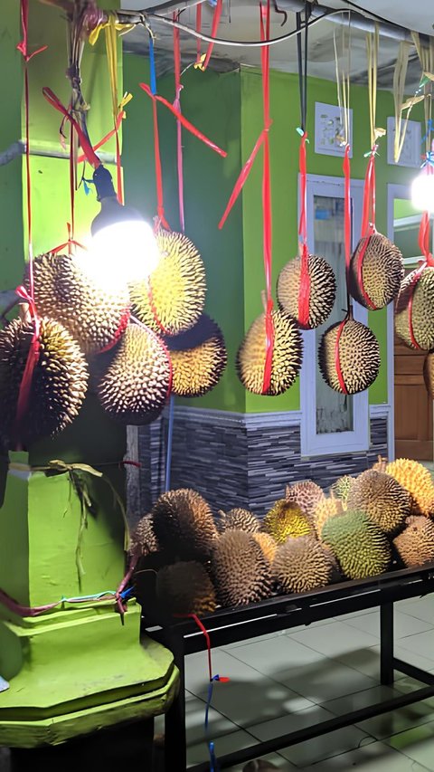 2 Kabupaten Ini Jadi Sentra Durian Unggul di Jawa Barat, Ada Jenis Jarot yang Kecil-Kecil Cabe Rawit