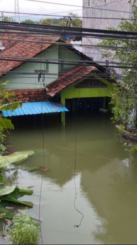 106 Lokasi TPS di Demak Terendam Banjir, Pemilu Susulan Diusulkan Jadi Opsi