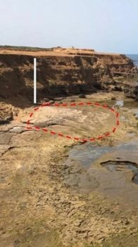 Penampakan Jejak Kaki Misterius di Pantai Maroko Berusia 90.000 Tahun, Diduga Milik Manusia Purba