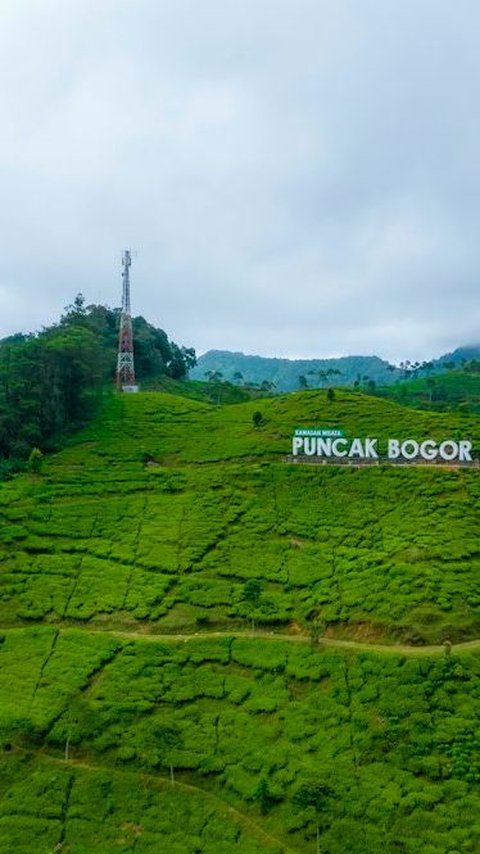 20 Wisata Puncak Bogor yang Populer dan Menarik, Jangan Sampai Terlewat