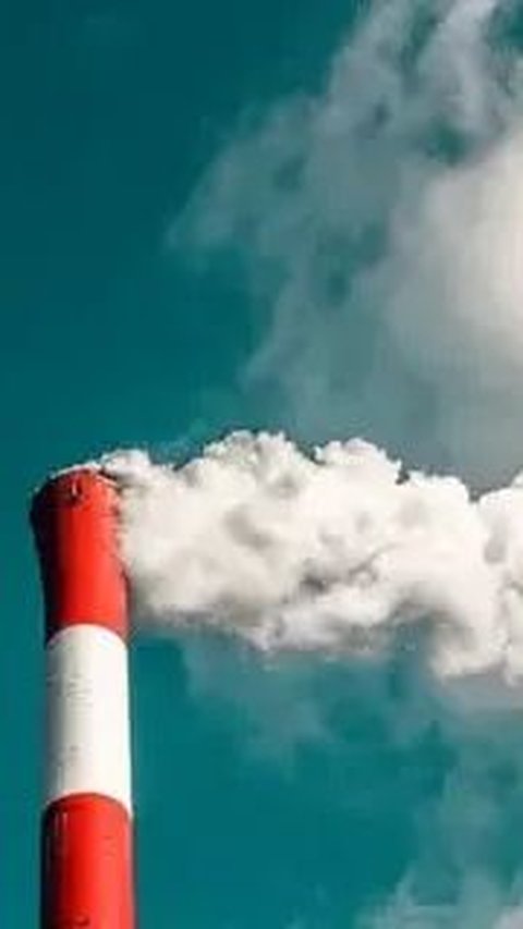 Jokowi Teken Aturan Penyimpanan Karbon, Ini Fungsinya