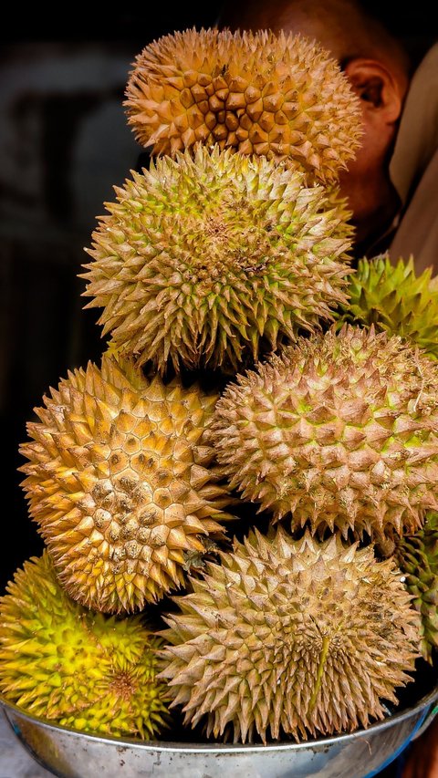 Legit, Bisnis Durian Bisa Raup Untung Rp20 Juta Satu Pekan