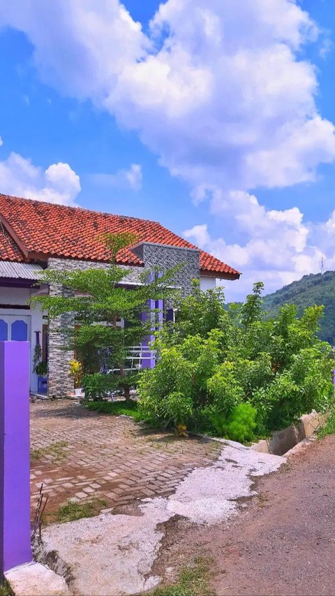 Portrait of a Serene Purple House by the Rice Field, Far from Neighbors