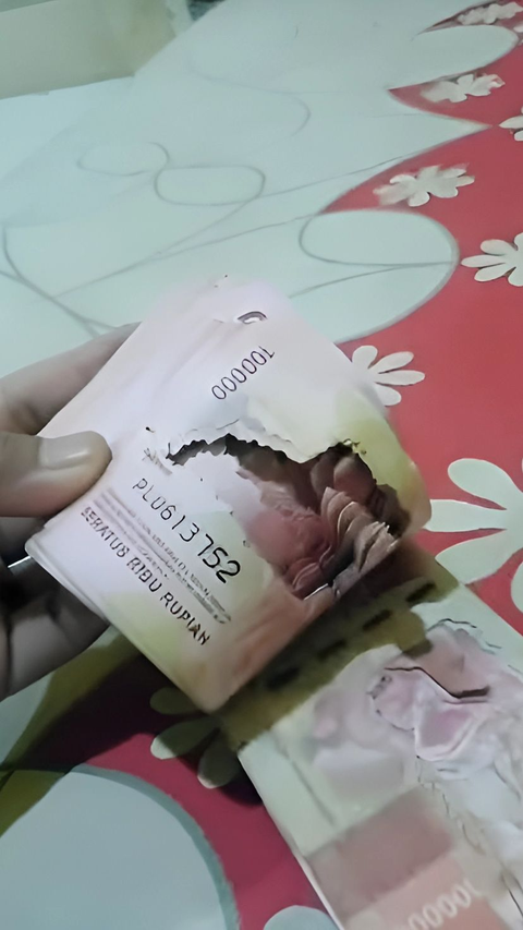 Momen Pria Temukan Uang Tabungannya Raib Dimakan Rayap, Nyesek Banget!
