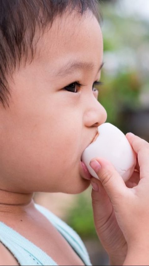 Si Kecil Selalu Ingin Makan Telur Setiap Hari, Bolehkah? Dokter Beri Penjelasan