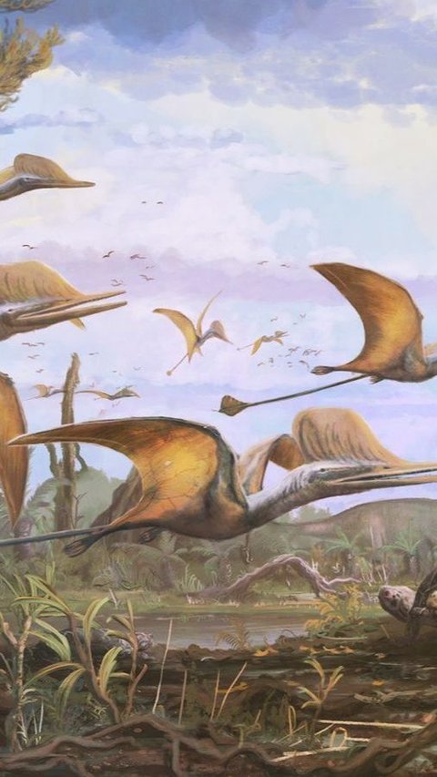 Spesies Baru Pterosaurus Ditemukan, Sayapnya Selebar 1,5 Meter