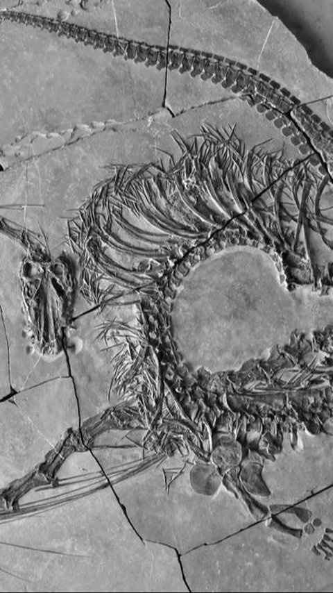 Ilmuwan Temukan Fosil Naga Berusia 240 Juta Tahun, Bukan Cuma Mitos?