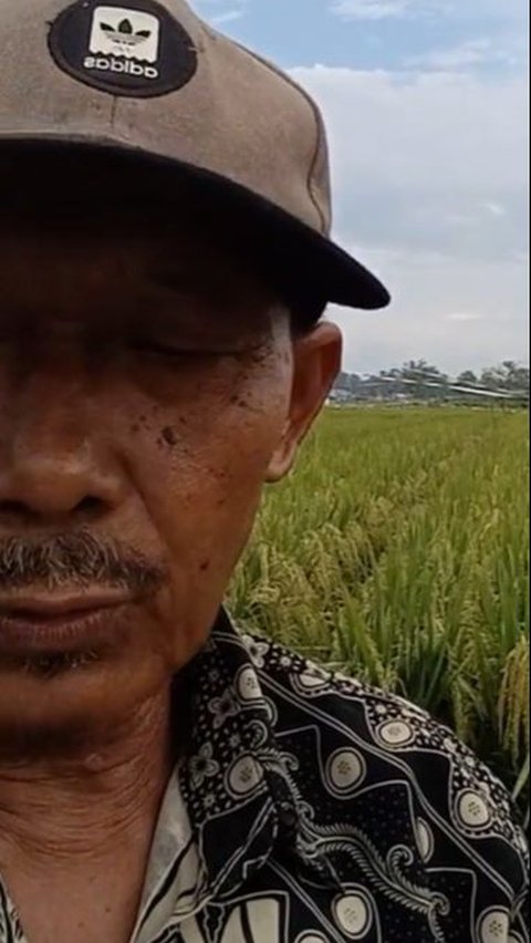 Giliran Beras Naik Teriak-teriak, Petani 'Gaji PNS Naik, UMR Naik Kami Diam'