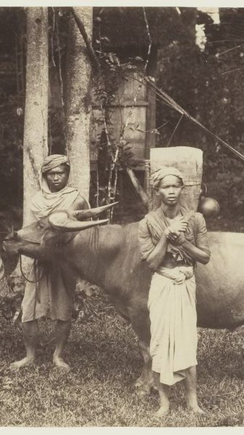 Asal-usul Orang Kincai, Konon Jadi Penghuni Pertama dan Tertua di Pulau Sumatra