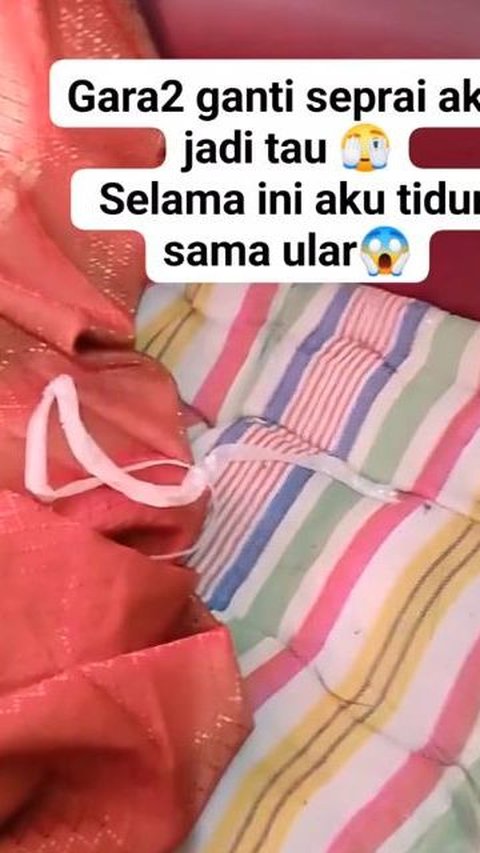 Ngeri! Wanita Ini Tak Sadar Selama Ini Tidur Bareng Ular Usai Menemukan Kulitnya di Bawah Sprei