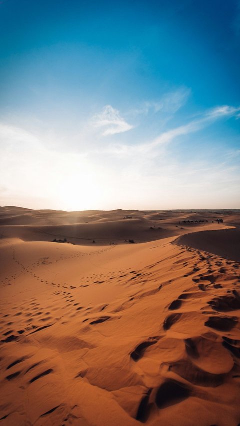 Fakta Gurun Sahara yang Panas, Ternyata Pernah Menjadi Lautan!