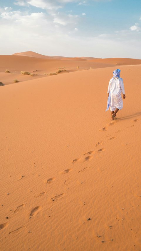 Gurun Sahara Dulunya Lautan? Begini Fakta dan Sejarahnya