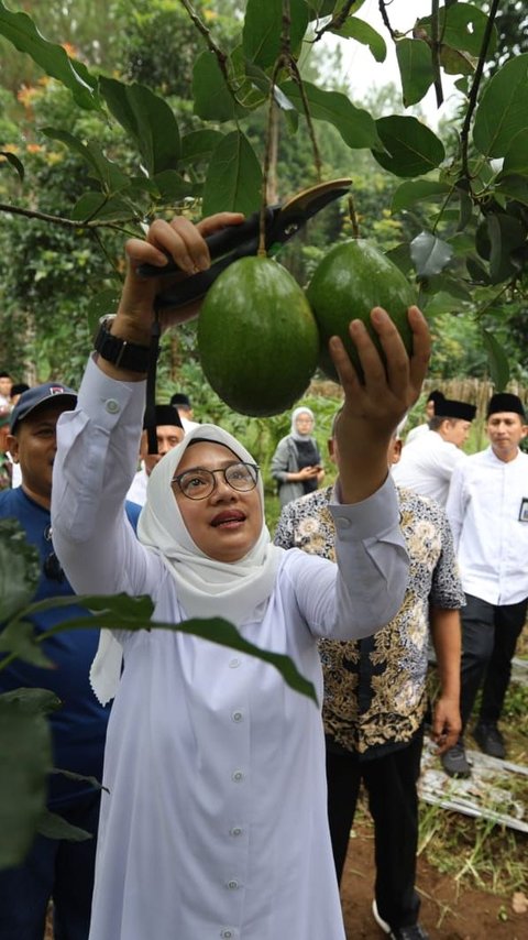 Berkantor di Desa Bumiharjo, Bupati Ipuk Gali Berbagai Potensi Pertanian