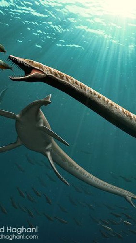 Para Paleontologi Sepakat Dinocephalosaurus Sebagai Reptil Laut dan Berkembang Biak di Air