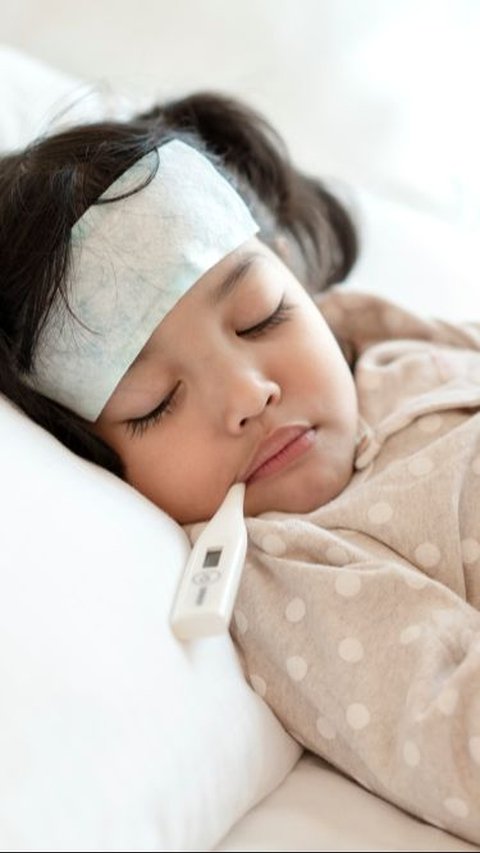 Cases of Dengue Fever are Increasing, Be More Cautious When Your Child has a High Fever