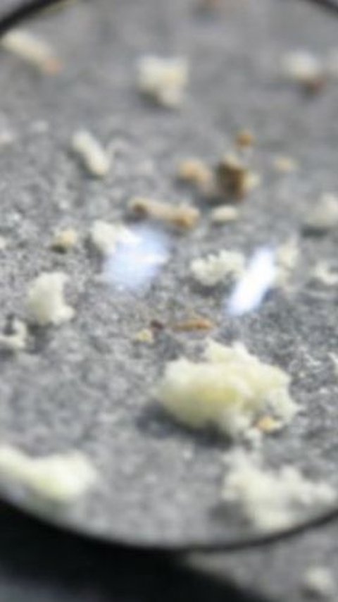 5 Cara Mengusir Semut di Mobil Agar Kembali Bersih dan Bikin Nyaman