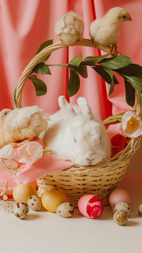 55 Happy Easter Friends and Family Quotes to Fill Your Holiday with Love