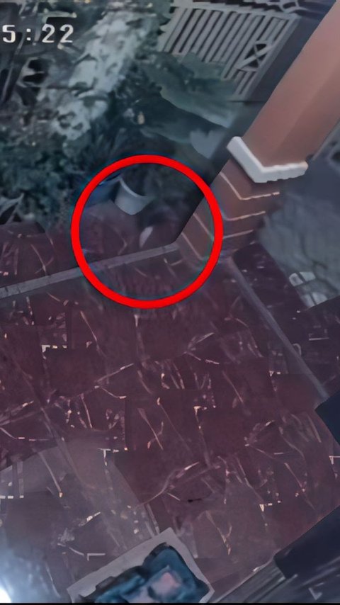 Viral! Video Penampakan Tuyul Lagi Main di Teras Terekam CCTV, Pemilik Rumah Ngaku Uang Buat Umroh Sering Hilang