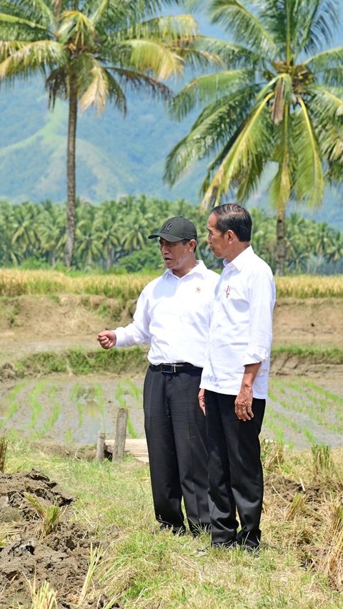 Mentan Pastikan Pemerintah Kawal Stok Pangan Nasional