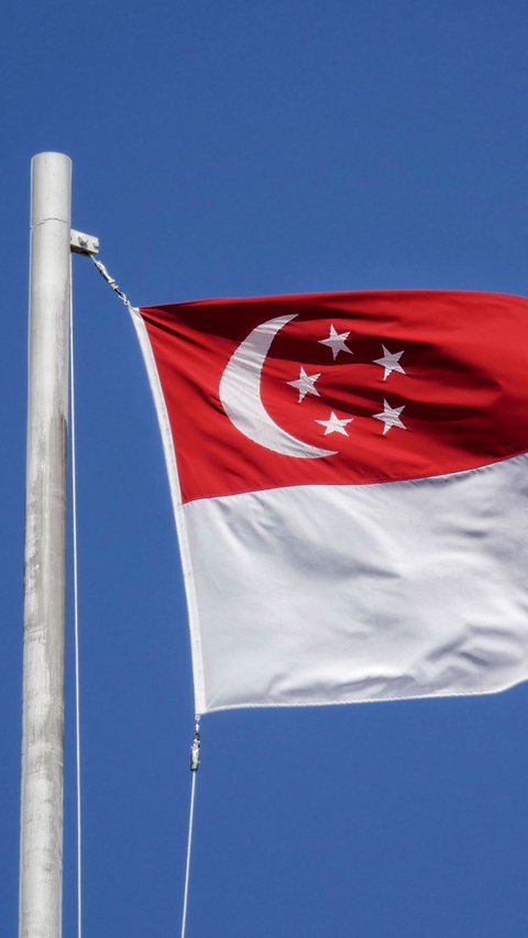Beras di Singapura Ternyata Lebih Murah dari Indonesia, Mendagri Ungkap Penyebabnya