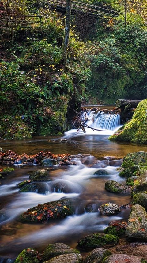 Wisata Alam Jogja Terbaru