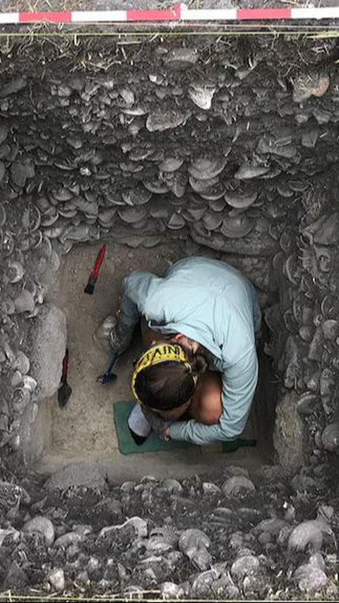 Arkeolog Temukan 82 Pecahan Tembikar Saat Gali Timbunan Sampah, Dibuat Suku Aborigin 3.000 Tahun Lalu