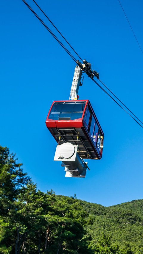 Exciting Rescue of Cable Car Accident in Turkey, 174 People 'Hanging' for Almost a Day