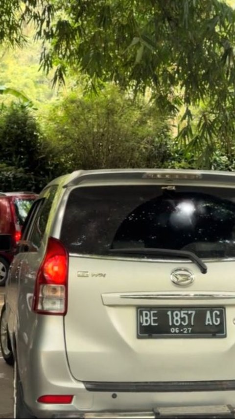 Viral Aksi Pengunjung Taman Safari Bebal Buka Kaca Mobil saat Lewati Kandang Singa, Bikin Was-was