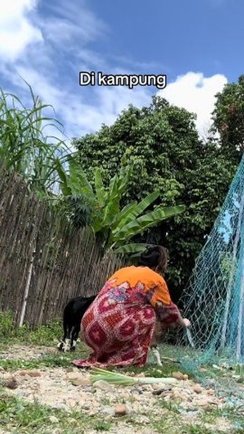 Viral Fashion si Cewek pas di Jakarta VS Kampung, di Kota Jadi Princess di Kampung Angon Kambing