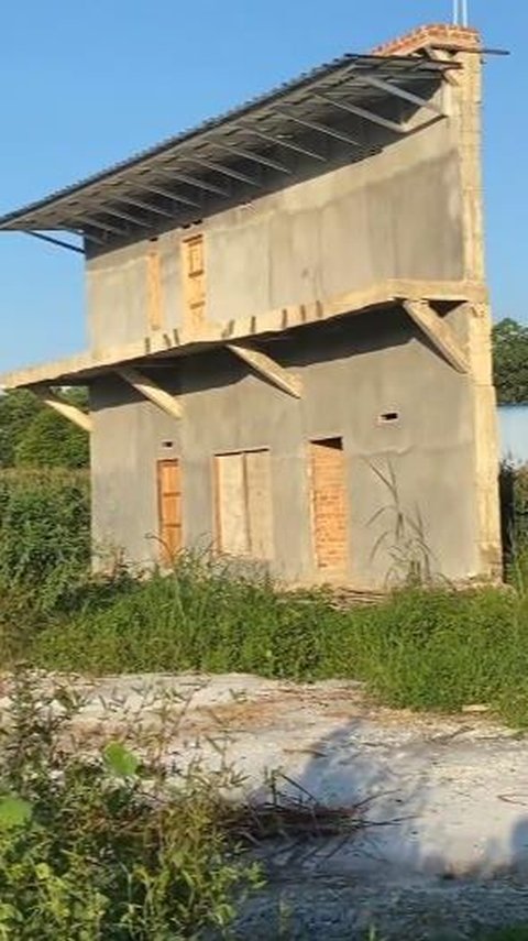 Thin and Quirky House Design in a Cornfield, Front is Fine, but the Back is Hilarious, Netizens: Like Another Natural Gateway