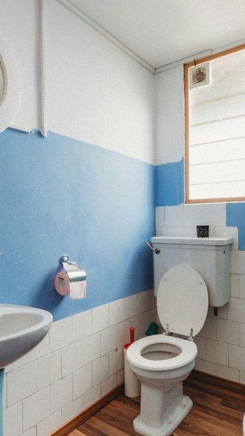 Trik Sederhana Mengatasi WC Mampet, Ternyata Bisa Pakai Bahan Makanan ini
