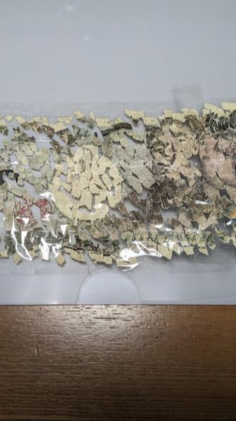 A Boy in Japan Spent Three Weeks Piecing Together 10,000 Yen That Were Accidentally Shredded