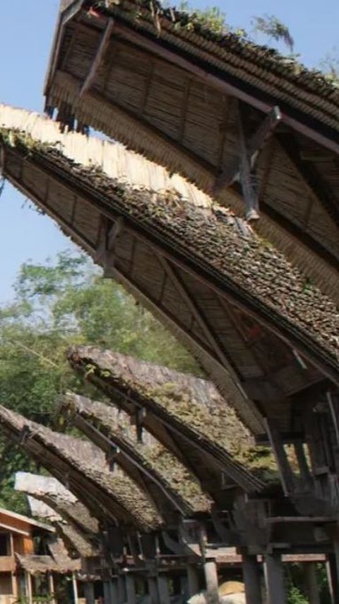 7 Tempat Wisata di Toraja yang Paling Dicari, Sajikan Panorama Alam yang Indah