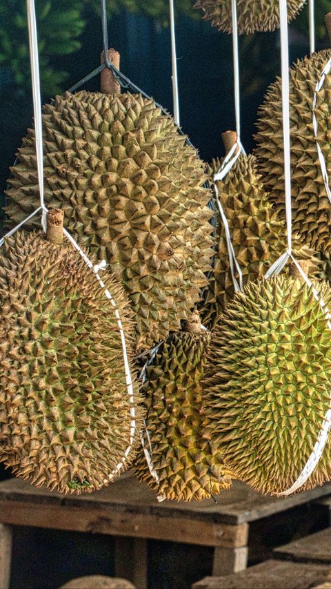 Tak Ingin Bergantung Impor, China Bakal Tanam Durian Sendiri