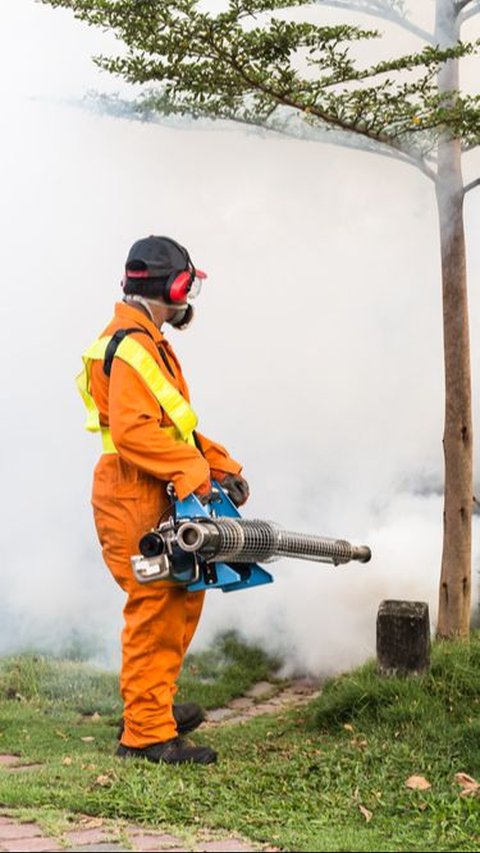 Dengue Fever Attacks Children, It is Best to Immediately Conduct Fogging in the House Environment