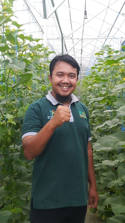 Curi Perhatian Berbagai Instansi, Ini Kisah Inspiratif Pemuda Asal Temanggung Kembangkan Pertanian Melon di Lereng Gunung Sindoro