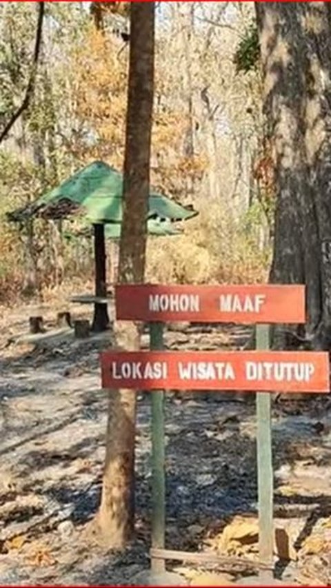 Pernah Terkenal di Masa Presiden Soeharto, Taman Wisata di Tengah Hutan Jati Blora Kini Terbengkalai