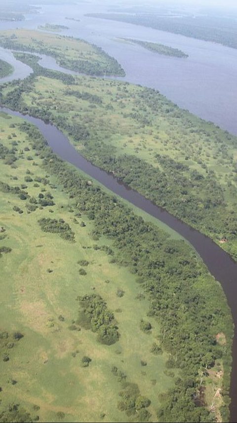 Scientists Discover the Darkest River in the World, Almost Without Shadows