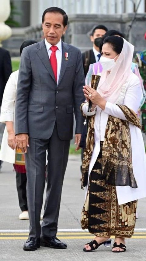 Presiden Jokowi Akhirnya Blak-blakan Kenapa Indonesia Harus Impor Beras