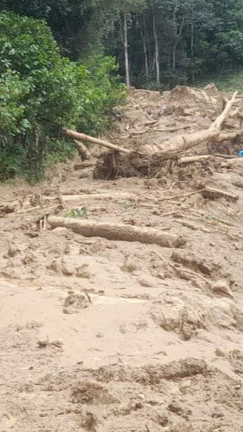 Banjir Bandang Sumbar: 67 Orang Meninggal