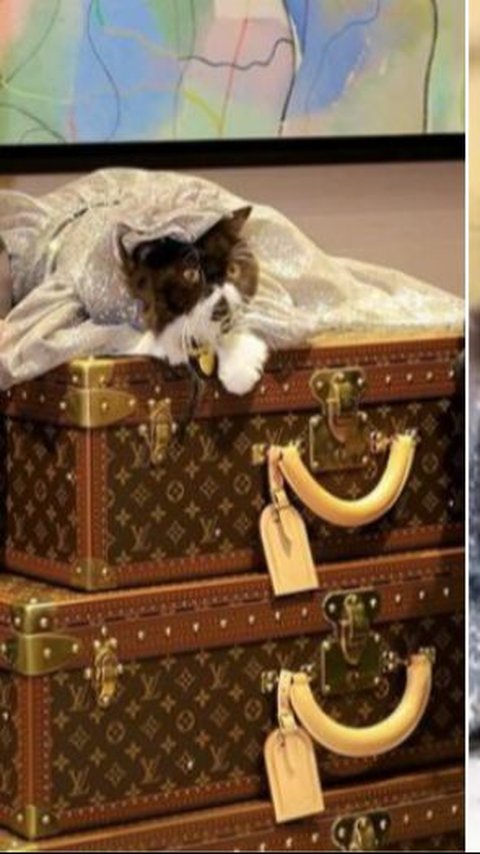 Malaysian Couple Celebrates Cat's Birthday in Louis Vuitton Store