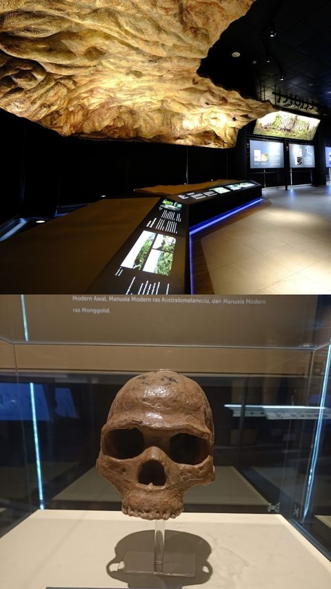 Potret Museum Song Terus Pacitan dengan Koleksi Warisan 350 Ribu Tahun Lalu, Hadirkan Sensasi Hidup Zaman Purbakala