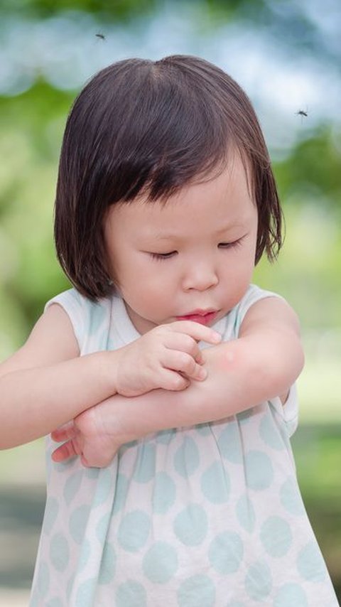 Important Care for Toddler's Skin due to Insect Bites