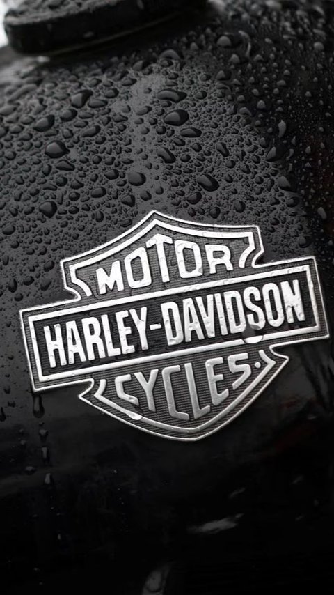 8 Facts About Harley Davidson
