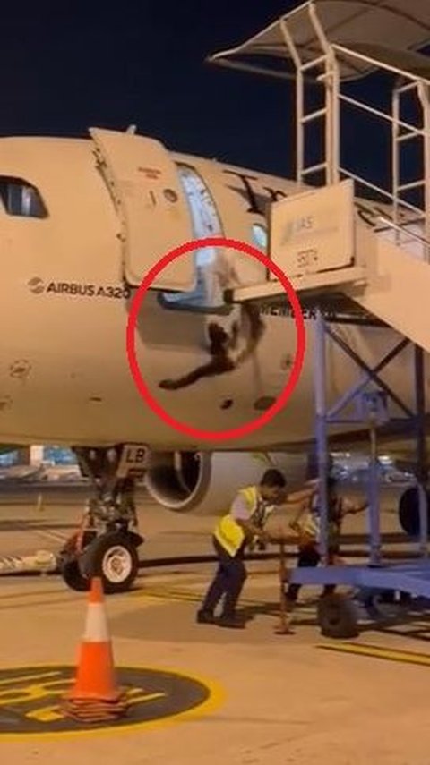 Terrifying! Video of the Moment Airport Officer Falls from Airplane Door